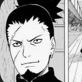 Nara Shikaku