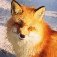 ʚ| 𝐑𝐞𝐚𝐝𝐞𝐫 |ɞ