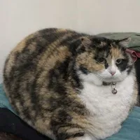 Oi!!!Con j đấy!!🤯