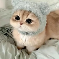 • Tiểu Quái Vật "Dẫn Đường" •