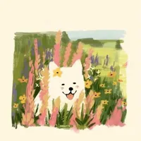 Kem- tác giả nhạt nhẽo