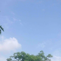 Hà Nguyễn( tg )