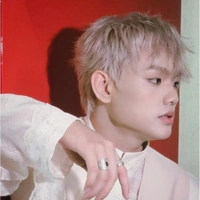 Bùi Trường Linh - Cha già