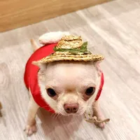 cả lớp