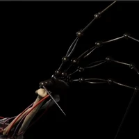 1006(chỉ có cánh tay)