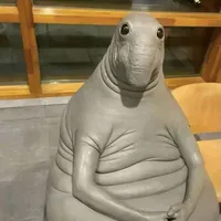 tác giả ngơ ngác lác đác lượt like