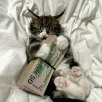 Yetsycorri   | Thiên Yết