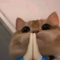 song.igemy    |Song Tử