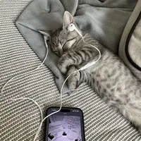 nguu.taurvy   |Kim Ngưu