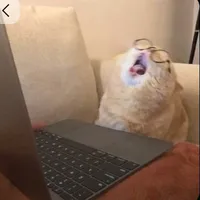 písnei   |Song Ngư