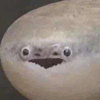 ai cũng được