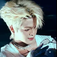 Nguyễn Quang Anh (rhy)