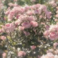 All
