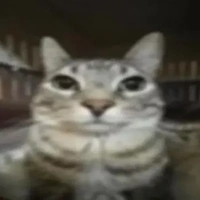 all