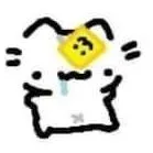 T/g cat