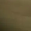 player + Jax + veronica