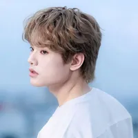 Bùi Trường Linh