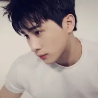 Lê Hồng Sơn