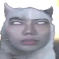 t/g 4/3