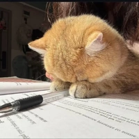 zu/tác giả