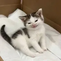 người im lặng 🤘🏿