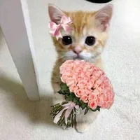 @ThanhAn_cute