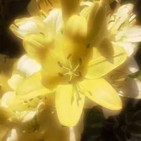 -𝓢𝓪𝓬𝓻𝓮𝓭 𝓒𝓻𝓮𝓪𝓶 𝓒𝓸𝓸𝓴𝓲𝓮-