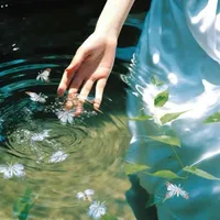 -𝓣á𝓬 𝓰𝓲ả / 𝓑ạ𝓬𝓱 𝓛𝓲ê𝓷-