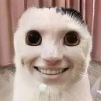 ？？？