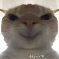 @˚˖𓍢ִ໋🌷͙֒✧☂️˚.🎀༘⋆ 