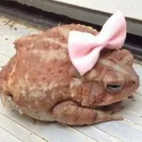 Dolores Jane Umbridge