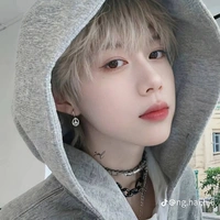 trần dịch hằng