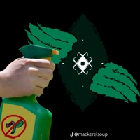 - Stem -