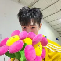 LÊ HỒ PHƯỚC THỊNH