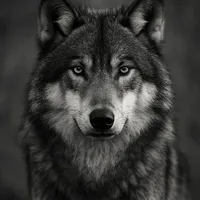 Hồng Sơn (dạng yêu)