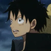 Monkey D Luffy
