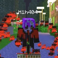 h1h404