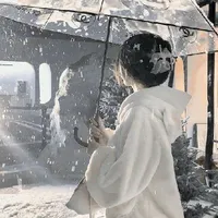 Nguyễn Chi Phương (Mẹ anh)