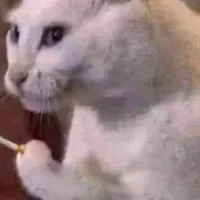 an
