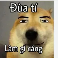 đạt
