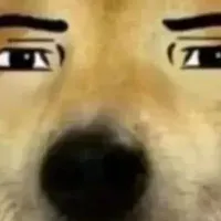 thầy
