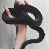 Nagini