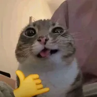 Thần cupid 💗💗