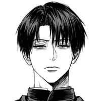 Levi
