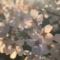 Tbong đây!