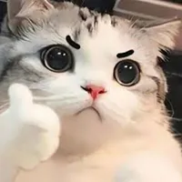 Tác giảツ