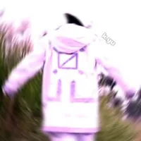 Error 505