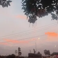 Nhân vật