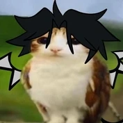 two time (cẩn thận sau lưng)