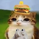 007n7 (vk quốc dân)